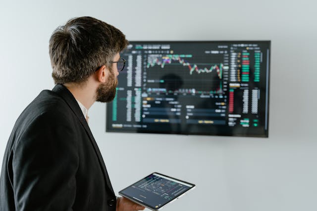 Traders Paradise